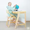Стул массив березы  Роберт Вуд