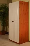 Шкаф двухстворчатый в классическом стиле платяной