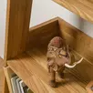 Стеллаж Сканди
